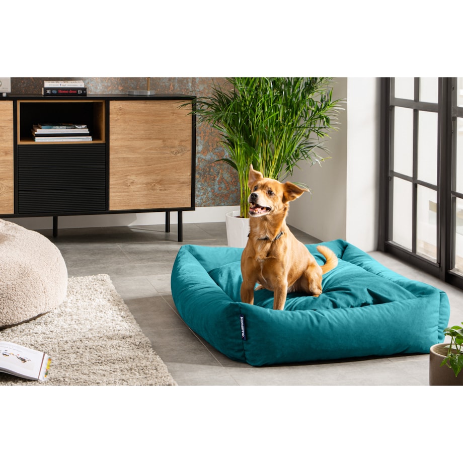 KONSIMO CANINI Legowisko dla dużego psa, turkusowy