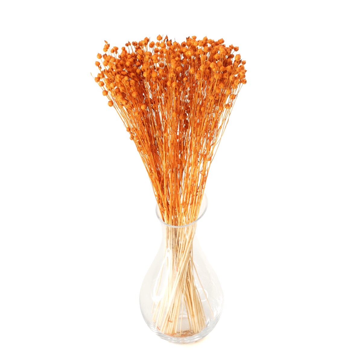 Suszony len pomarańczowy - bukiet