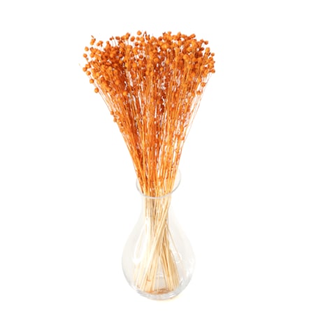 Suszony len pomarańczowy - bukiet