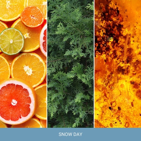 Home Inspiration wosk SNOW DAY