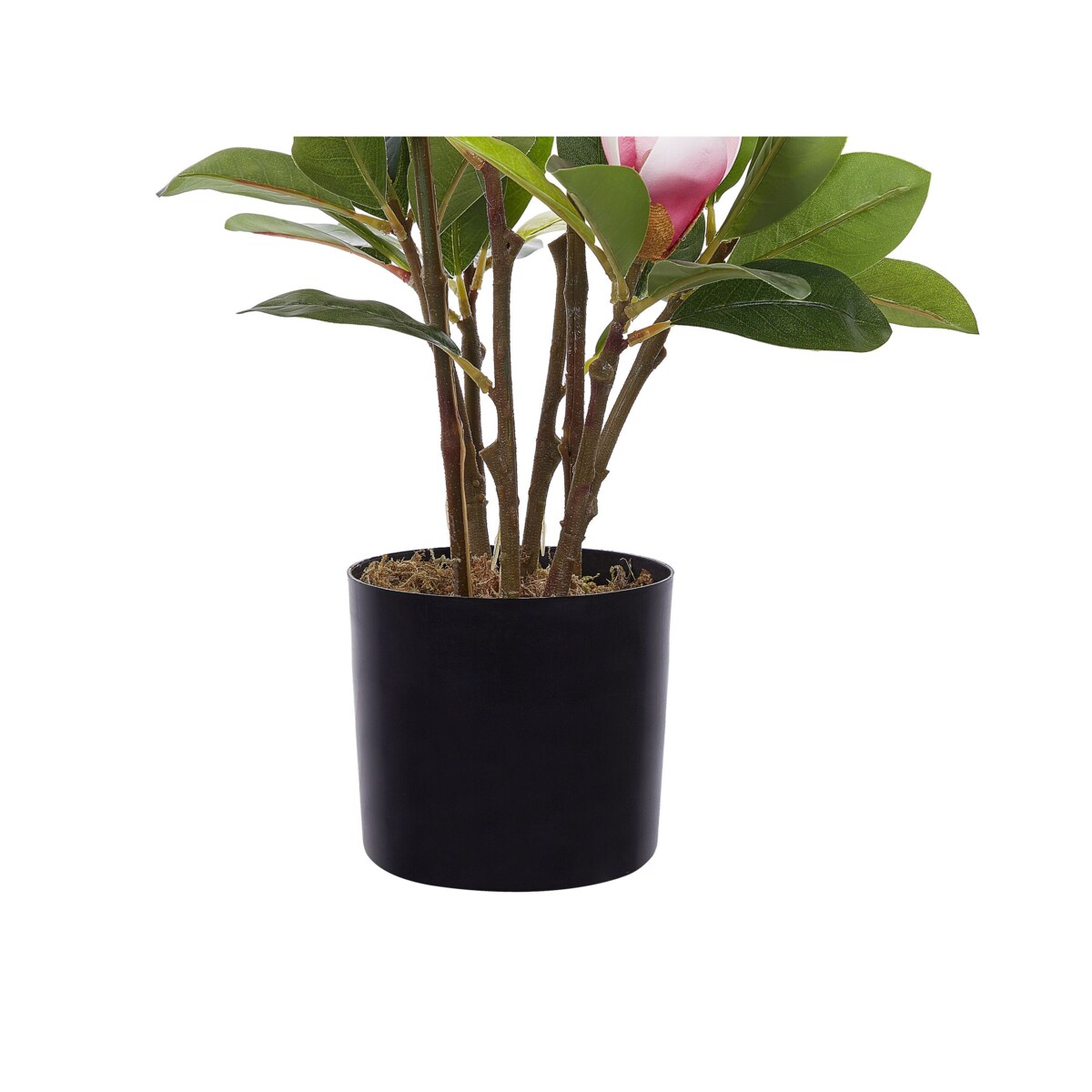 Sztuczna roślina doniczkowa 70 cm MAGNOLIA