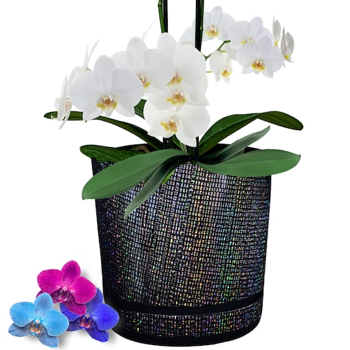 18 cm wzór DIAMENTOWA niezwykły tęczowy efekt holograficzne drobinki mieniąca brokatowa czarna połysk glamour