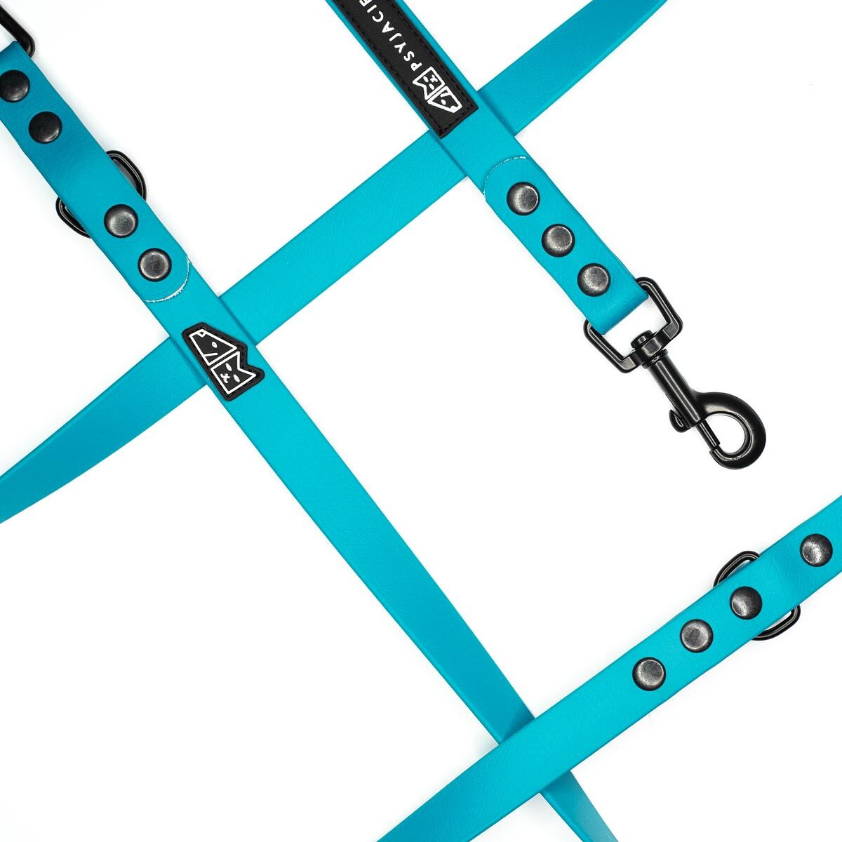 Smycz przepinana Biothane® dla psa lub kota "Turquoise AF" - Rozmiar: M, Szerokość taśmy: 19mm