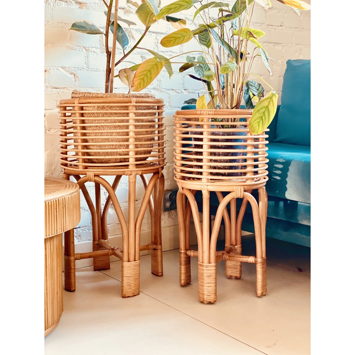 KWIETNIK POLLIE S NATURALNY