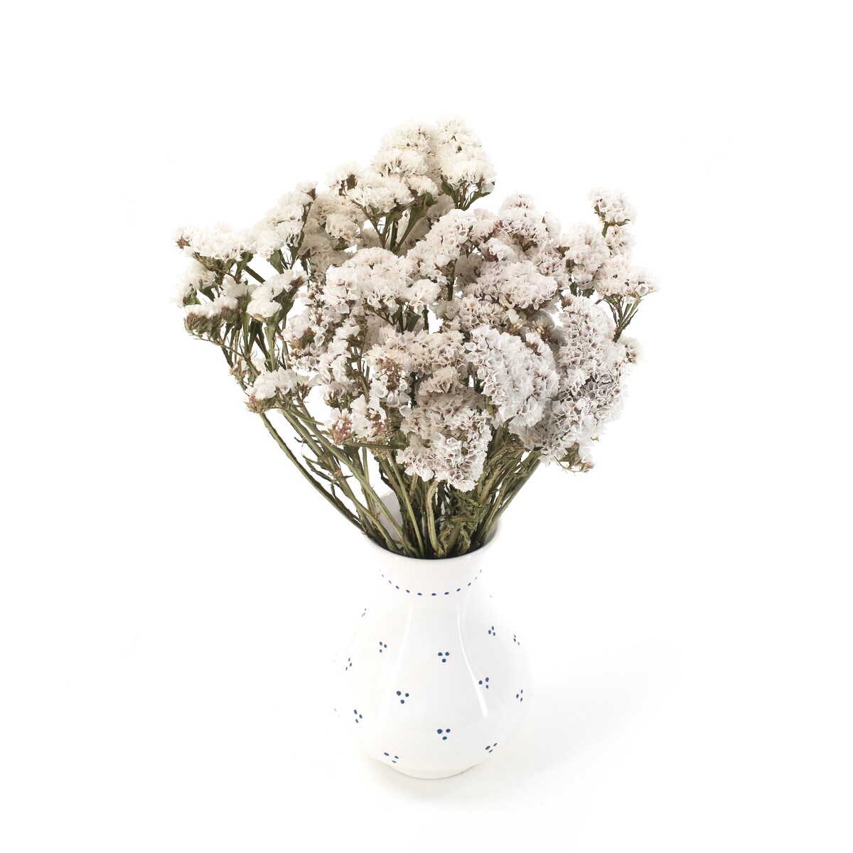 Suszony Zatrwian Biały