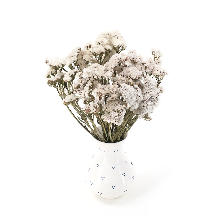 Suszony Zatrwian Biały