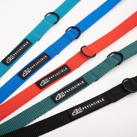 Smycz treningowa Turquoise AF - Rozmiar: L