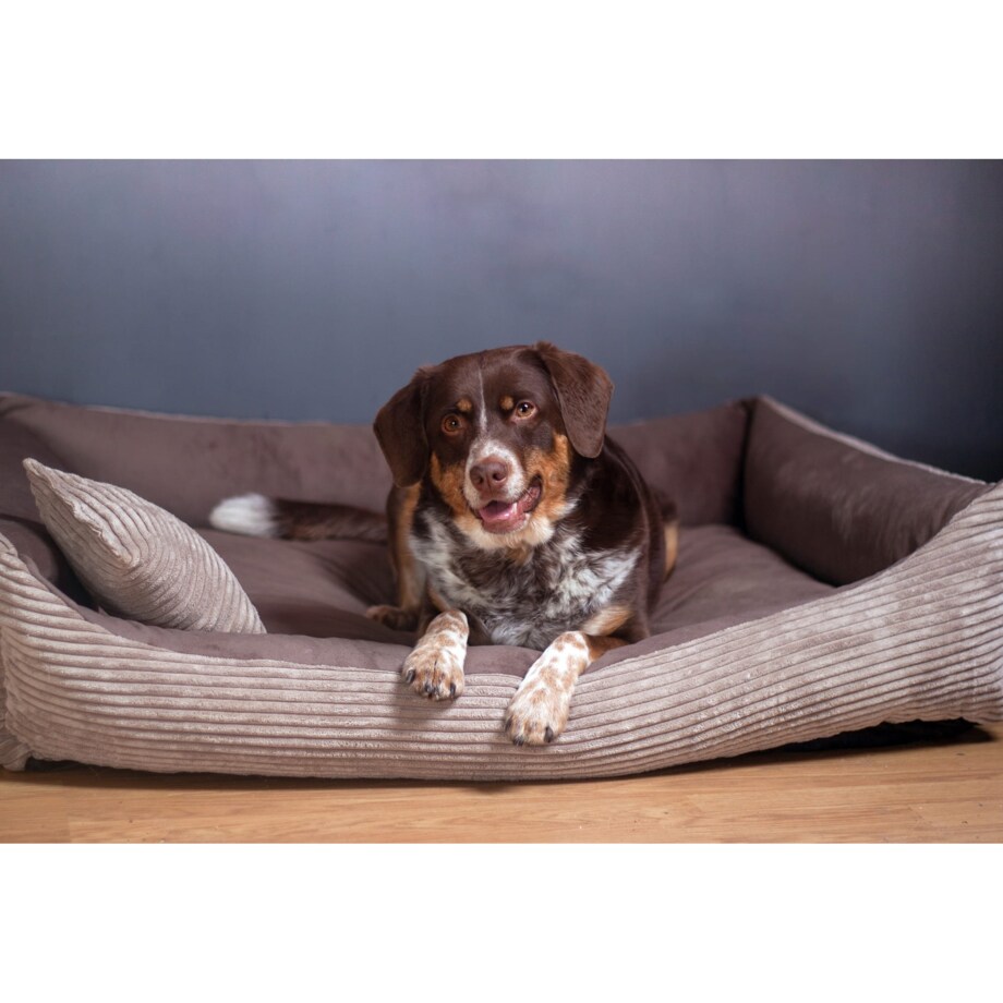 Przytulne legowisko dla psa MOLLY, 80x60 cm, Brąz