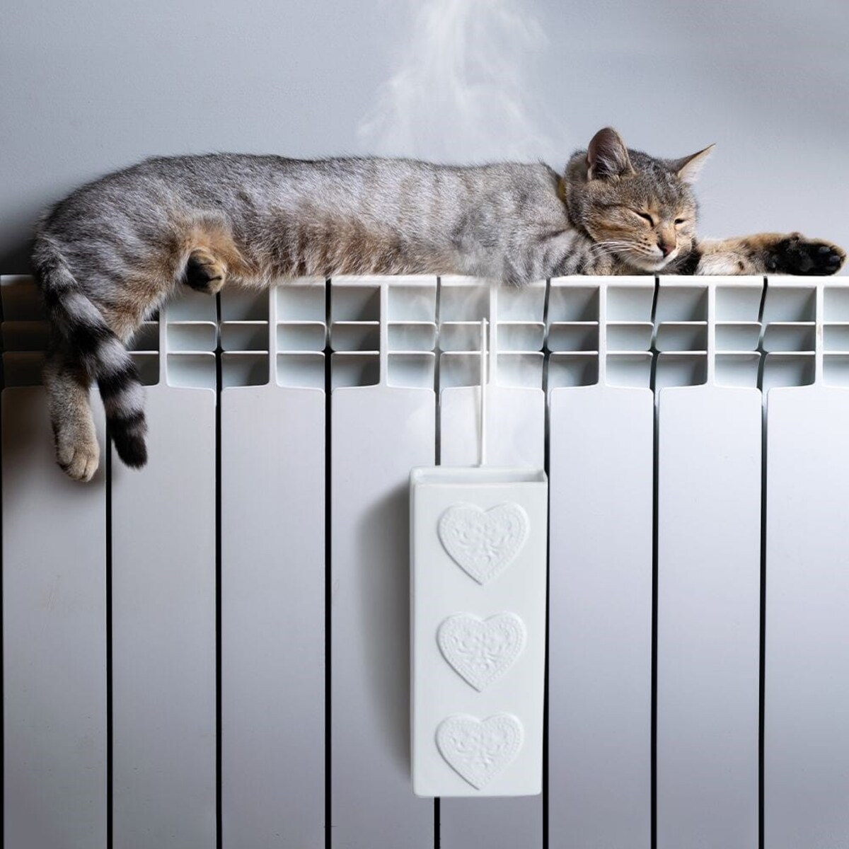 Nawilżacz Powietrza na Kaloryfer Grzejnik Pojemnik na Wodę