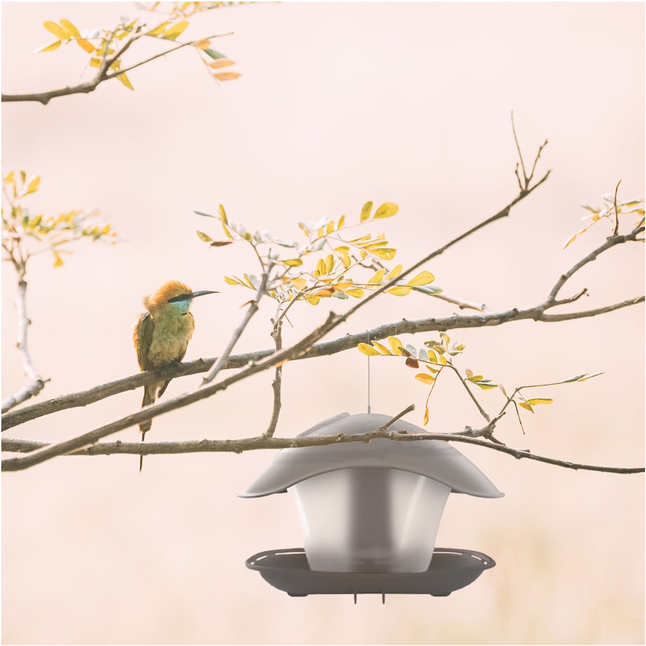 Karmnik Dla Ptaków 25X18 Cm Stojący Wiszący Na Zimę Plastikowy Square Budka