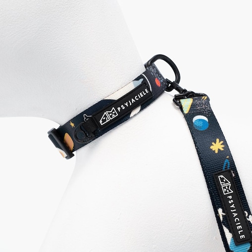 Obroża dla psa lub kota "I need space" - Szerokość taśmy: 38mm, Rozmiar: S