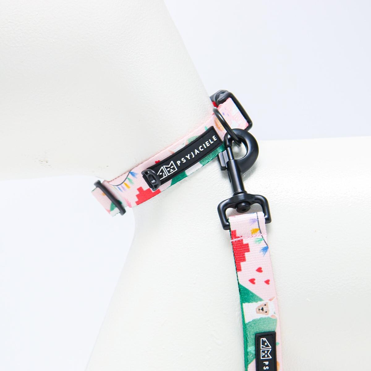 Obroża dla psa lub kota "Więcej niż jedno zwierzę" - Szerokość taśmy: 25mm, Rozmiar: S