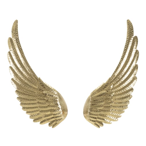 Zestaw 2 dekoracji ściennych Wings Amy, kolor złoty, żelazo, do salonu i przedpokoju, Mauro Ferretti