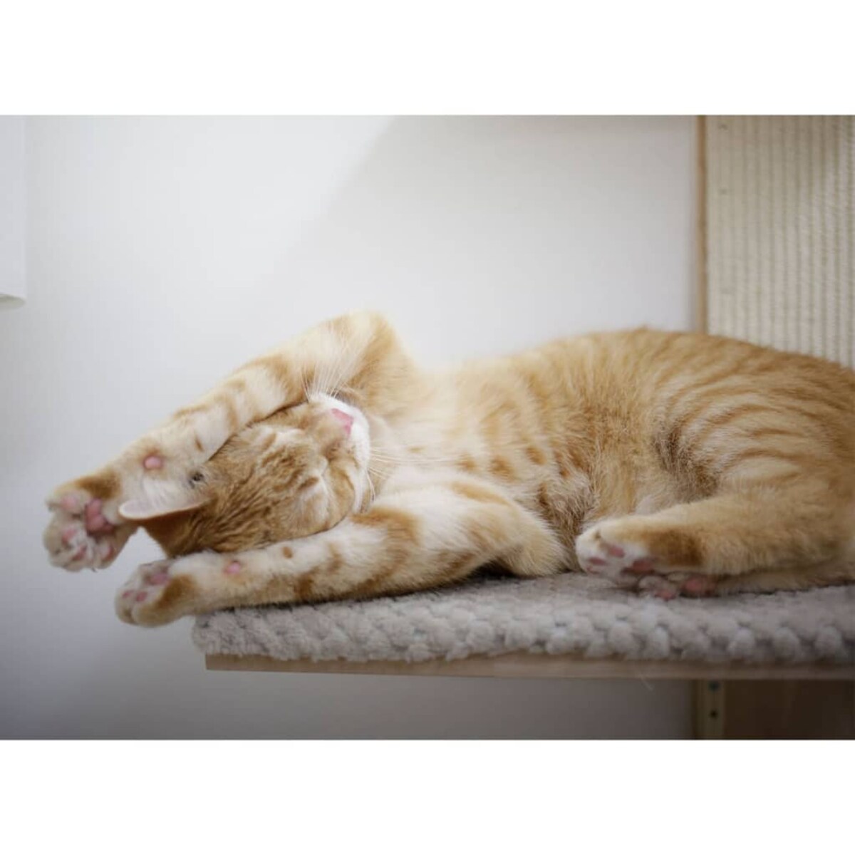 Kerbl Drapak dla kota Timber Wall, 150 cm, kolor naturalny i taupe