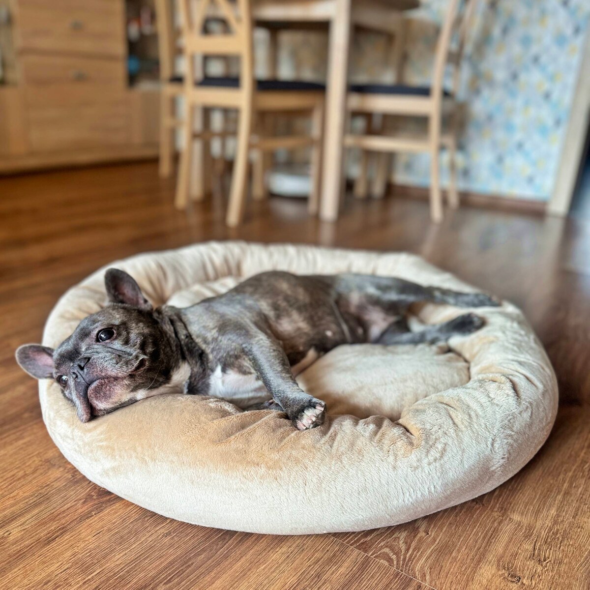 Pluszowe legowisko dla psa lub kota BUZZY, 75x65 cm, Beż