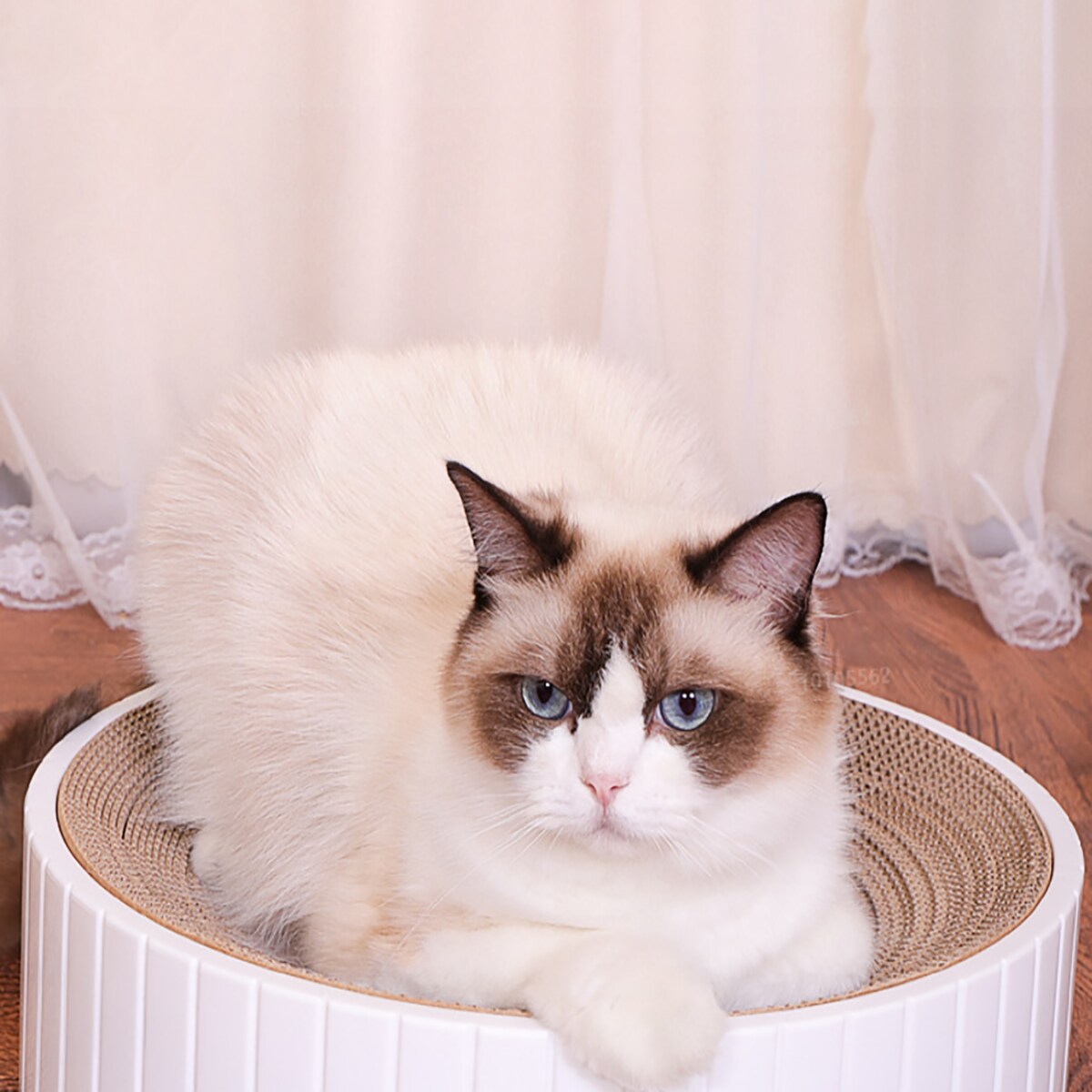 Drapak Dla Kota Z Tekturki Duży Do Drapania Zabawka Kot Leżący Okrągły