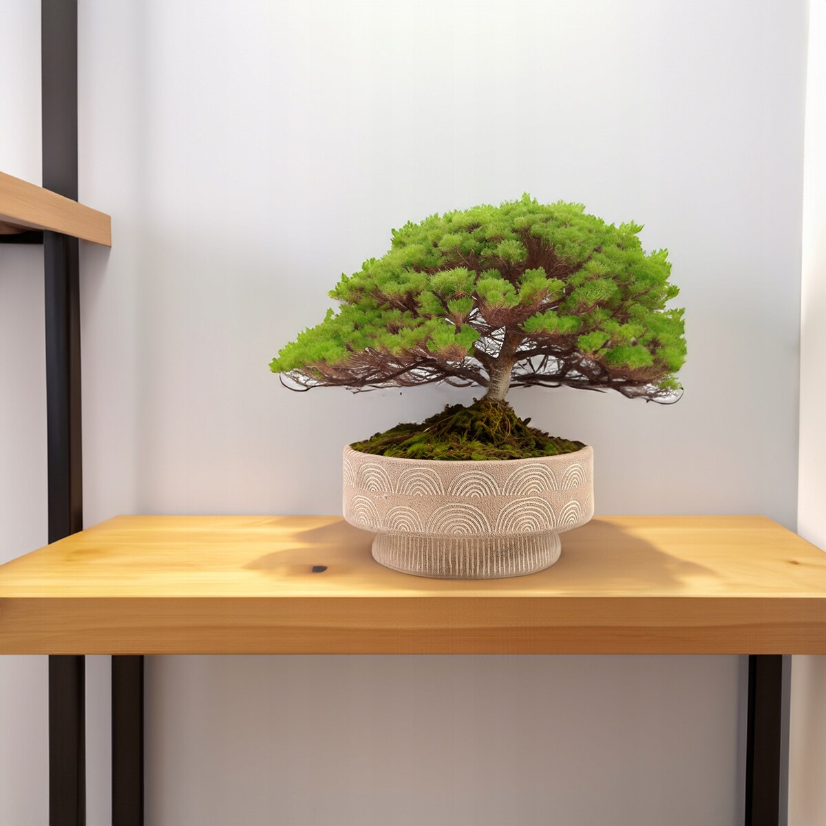 DONICZKA NA BONSAI balkon taras 25cm niska płaska duża beżowa beton BOHO