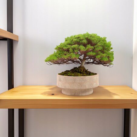 DONICZKA NA BONSAI balkon taras 25cm niska płaska duża beżowa beton BOHO