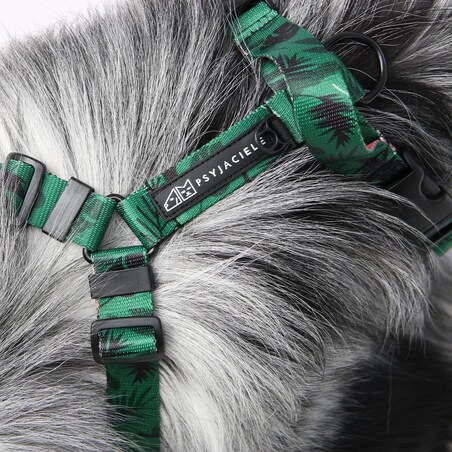 Szelki bezuciskowe dla psa lub kota "Welcome to the jungle" - Szerokość taśmy: 25mm, Rozmiar: L