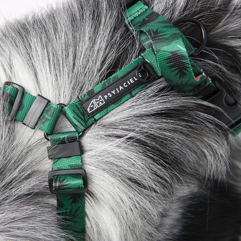 Szelki bezuciskowe dla psa lub kota "Welcome to the jungle" - Szerokość taśmy: 25mm, Rozmiar: L