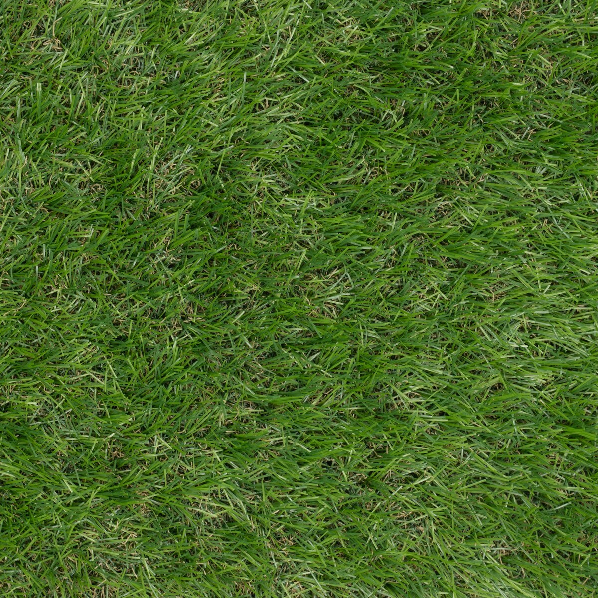 Sztuczna trawa Allgreen wys.30 mm , szer. 2m, cena za 1 m²