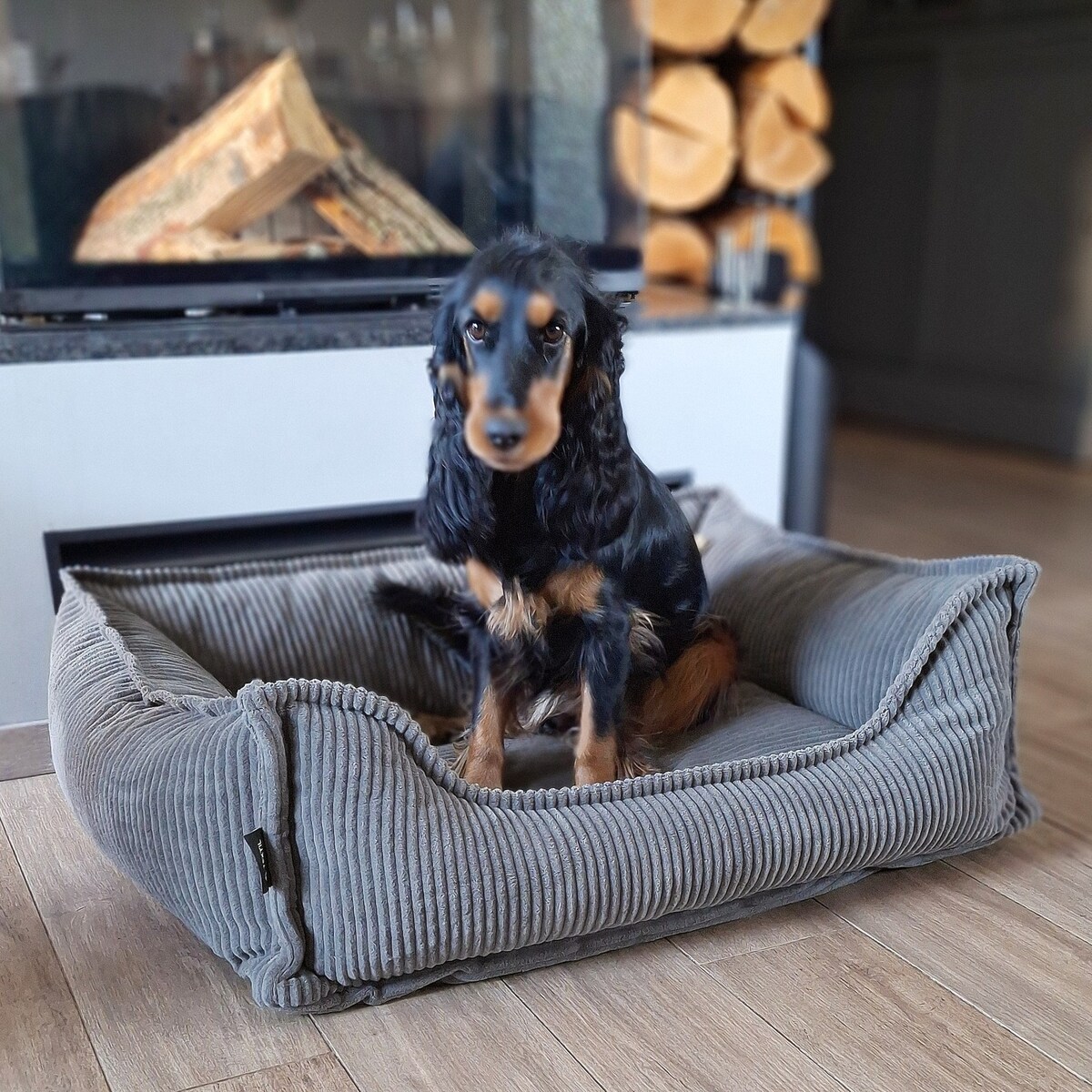 Ortopedyczne sztruksowe legowisko dla psa HUGO, 60x40 cm, Grafit