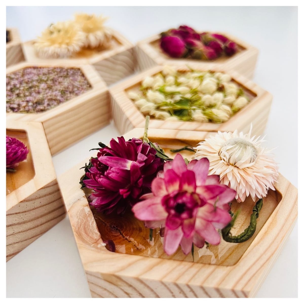 Dyski sensoryczne KWIATOWY OGRÓD