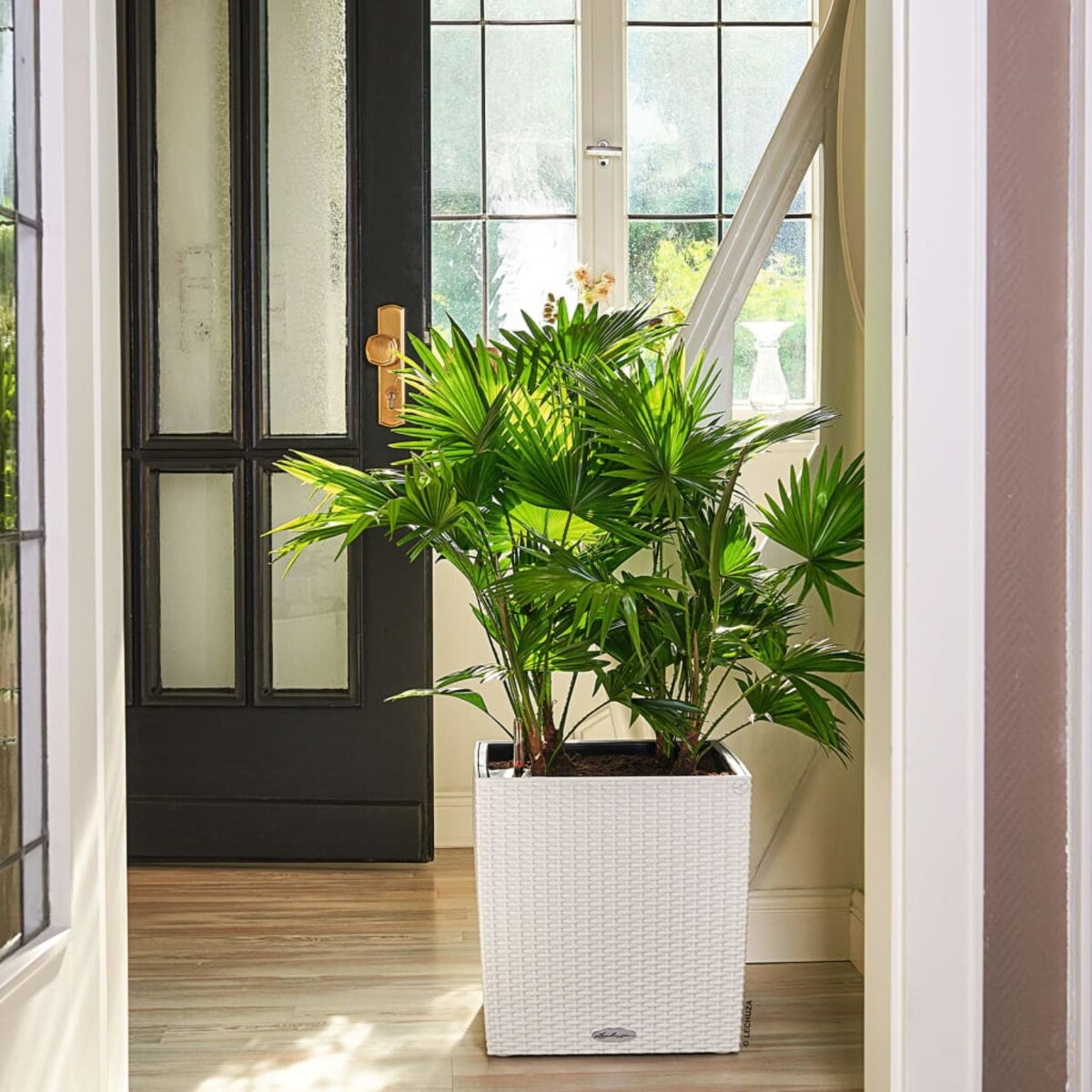 LECHUZA Doniczka CUBE Cottage 40 ALL-IN-ONE, biała