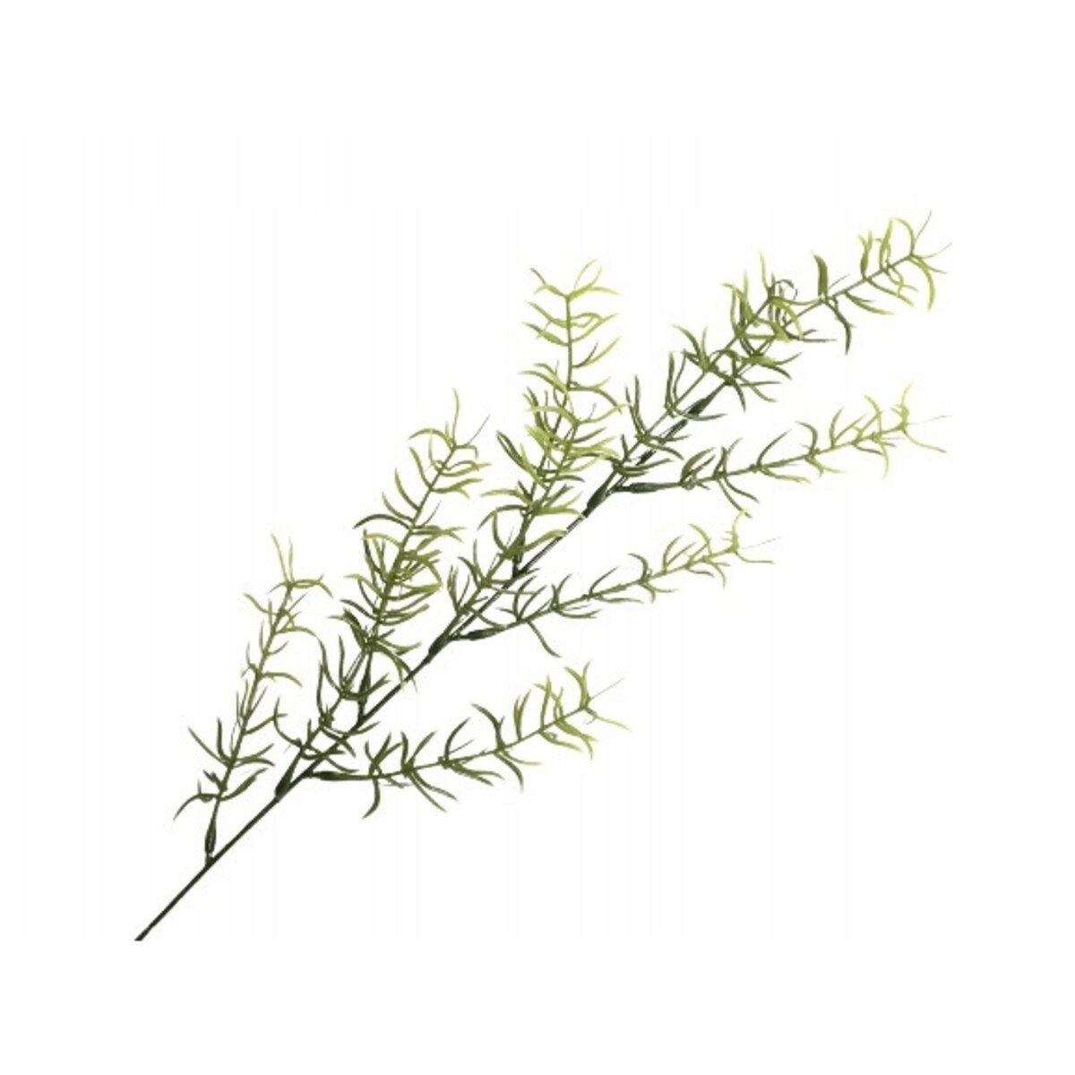 SZTUCZNY ASPARAGUS ZIELONY GAŁĄZKA dodatek stroik