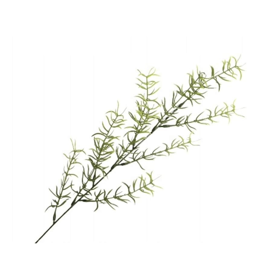 SZTUCZNY ASPARAGUS ZIELONY GAŁĄZKA dodatek stroik