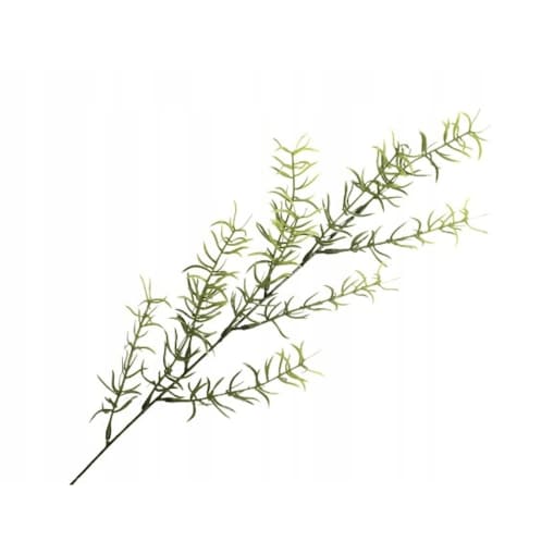 SZTUCZNY ASPARAGUS ZIELONY GAŁĄZKA dodatek stroik
