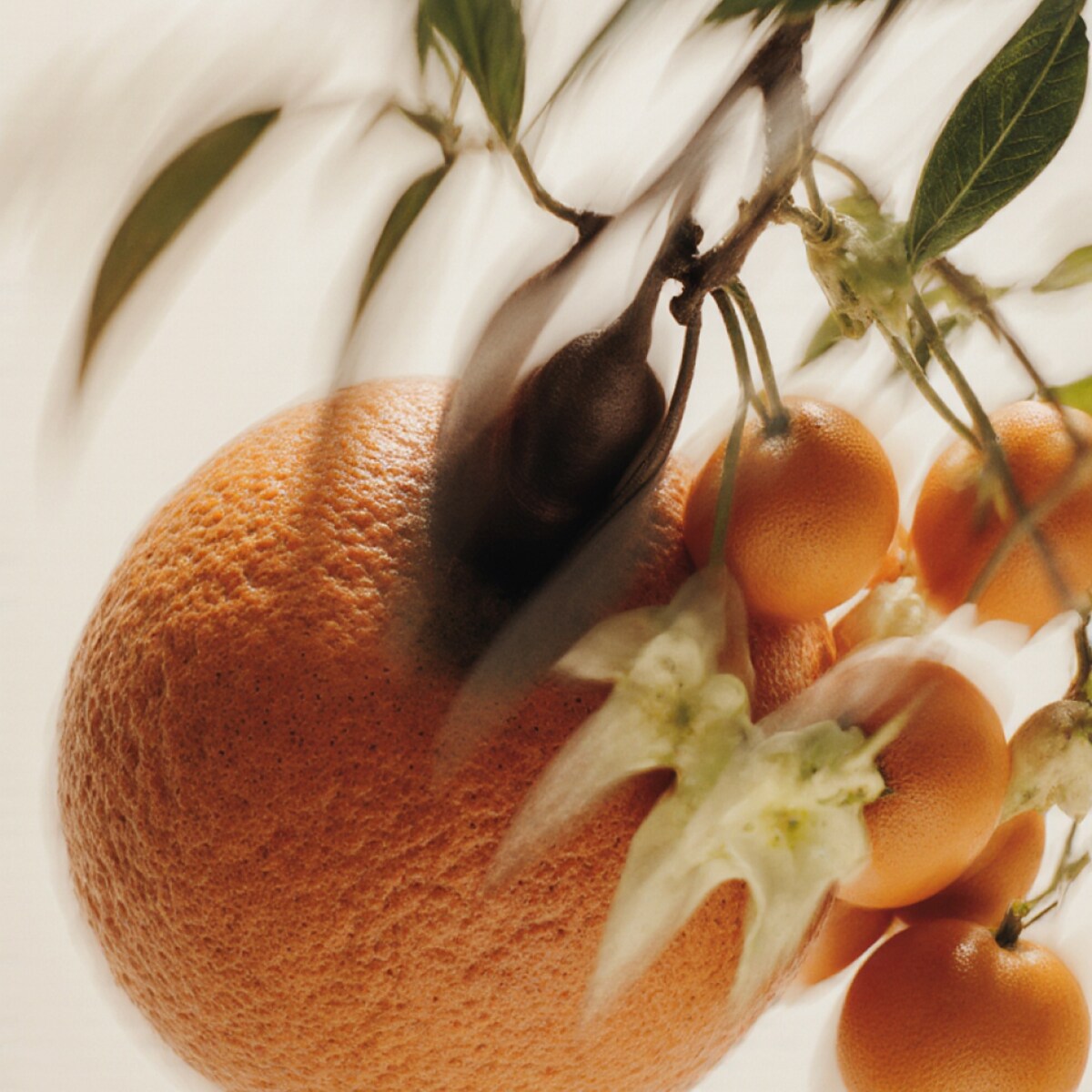 Côte Blanche - 30ml zapach do Dyfuzora Plug In