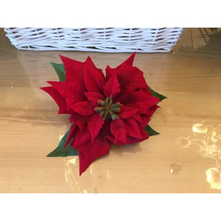 GWIAZDA WELUROWA duża poinsecja BETLEJEMSKA CZERWONA jak żywa na bukiet