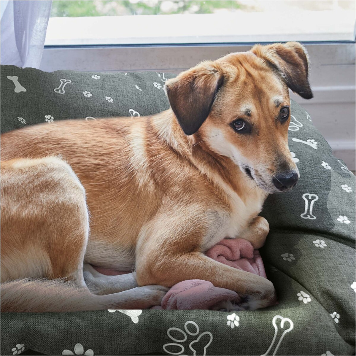 Legowisko Dla Psa Poduszka Posłanie Wytrzymałe 90X70 Cm Kość Srebrna