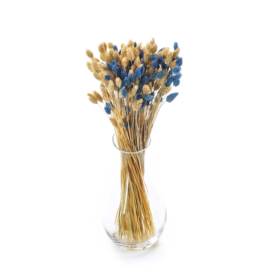 Zestaw duo suszonych traw phalaris niebieski & phalaris bielony - bukiet