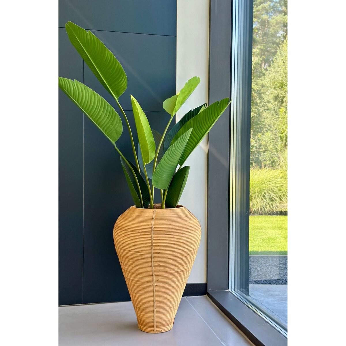 WAZON NICOLAS NATURALNY