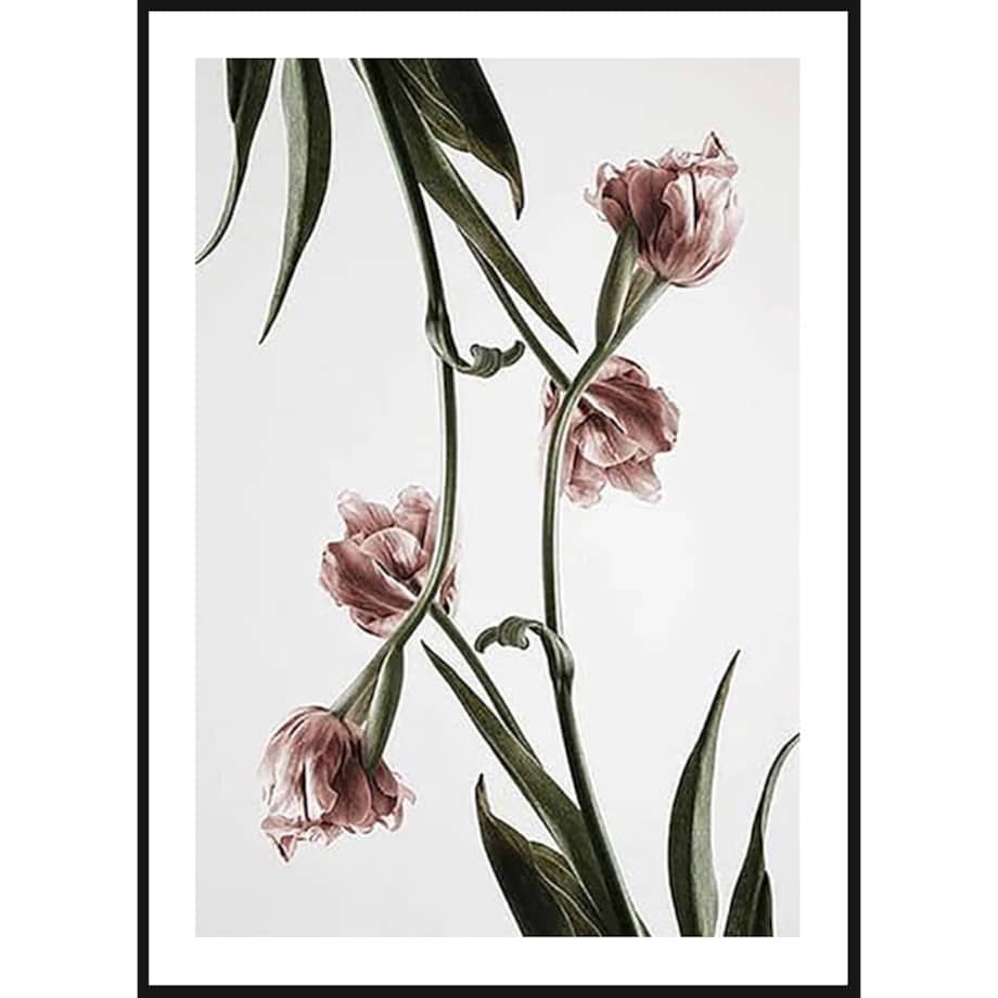 Poster Story, Plakat, Obraz - Różowe Tulipany No3, wymiary 70 x 100 cm