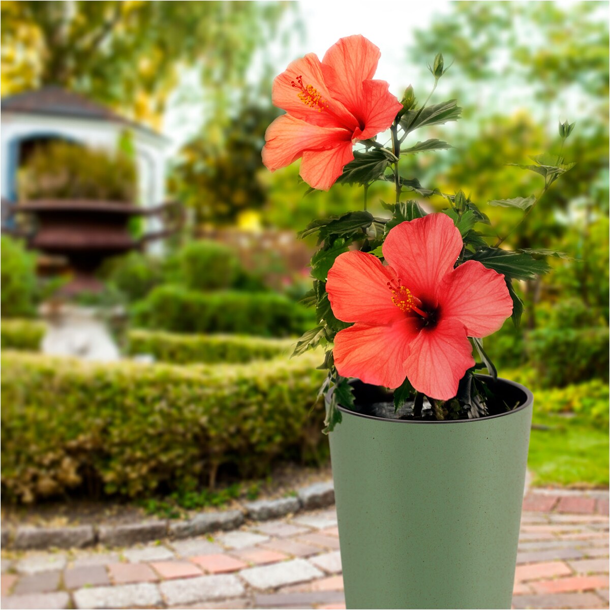 Donica Doniczka Ogrodowa 25 Cm Na Taras Do Ogrodu Domu Eco Wood Zielony