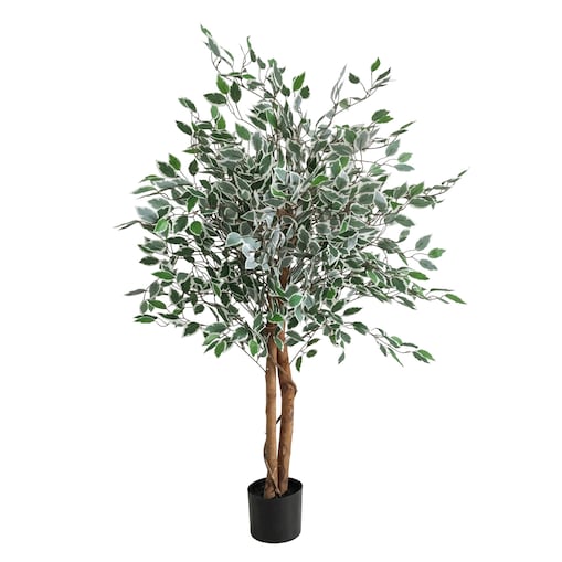 Sztuczny fikus wariegata w doniczce, wys. 130 cm