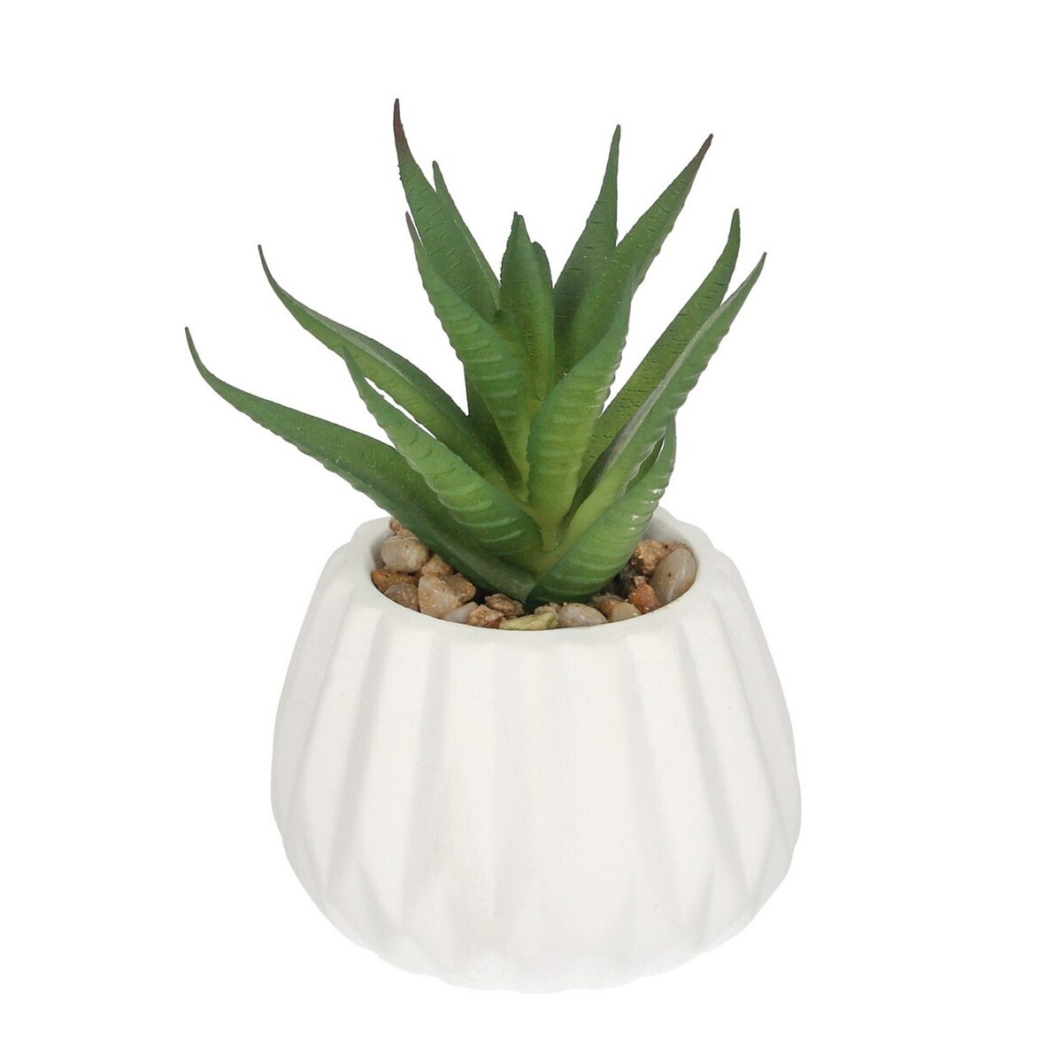 Dekoracja Agawa 12cm, 8 x 8 x 12 cm