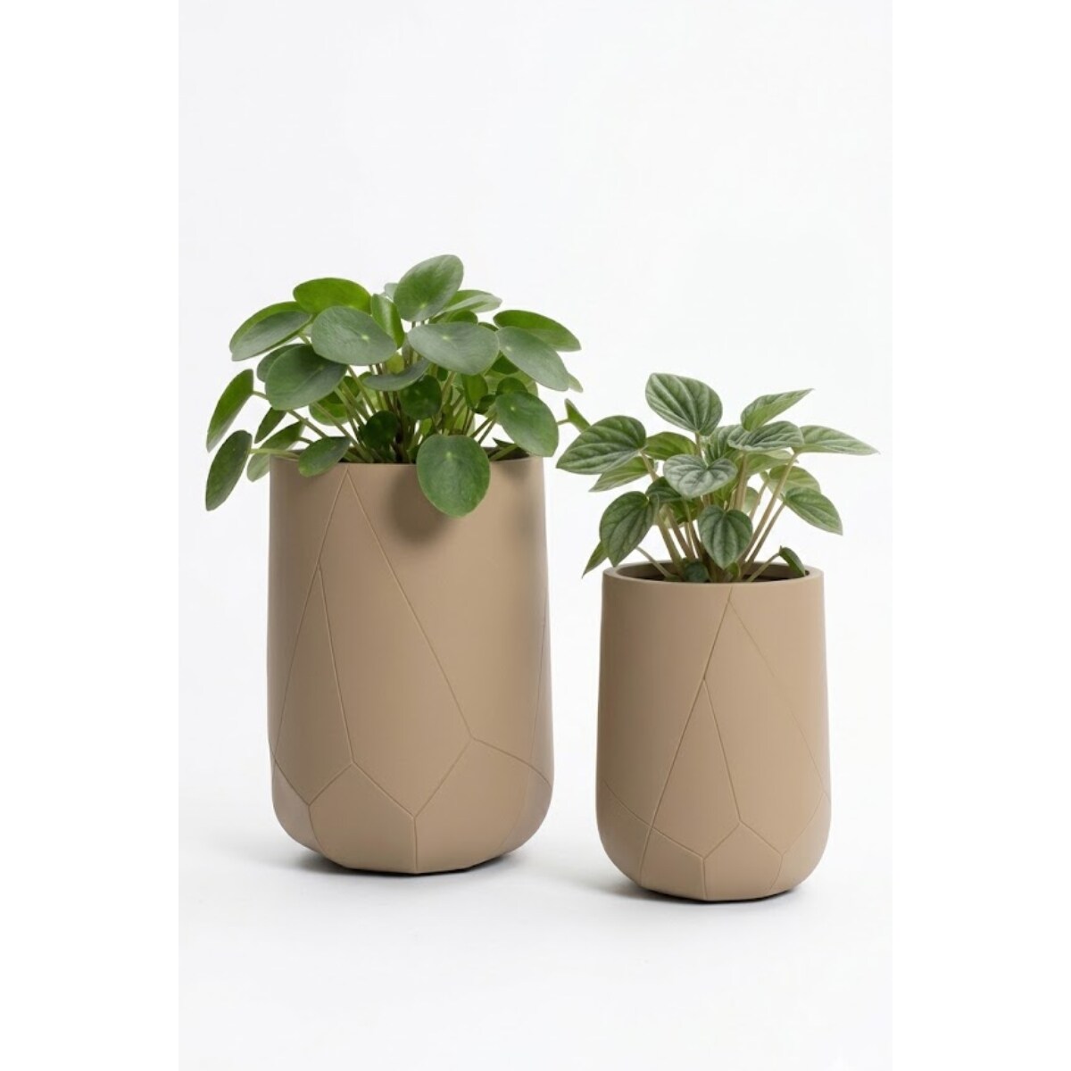 DONICZKA ODELLE BEIGE TALL M