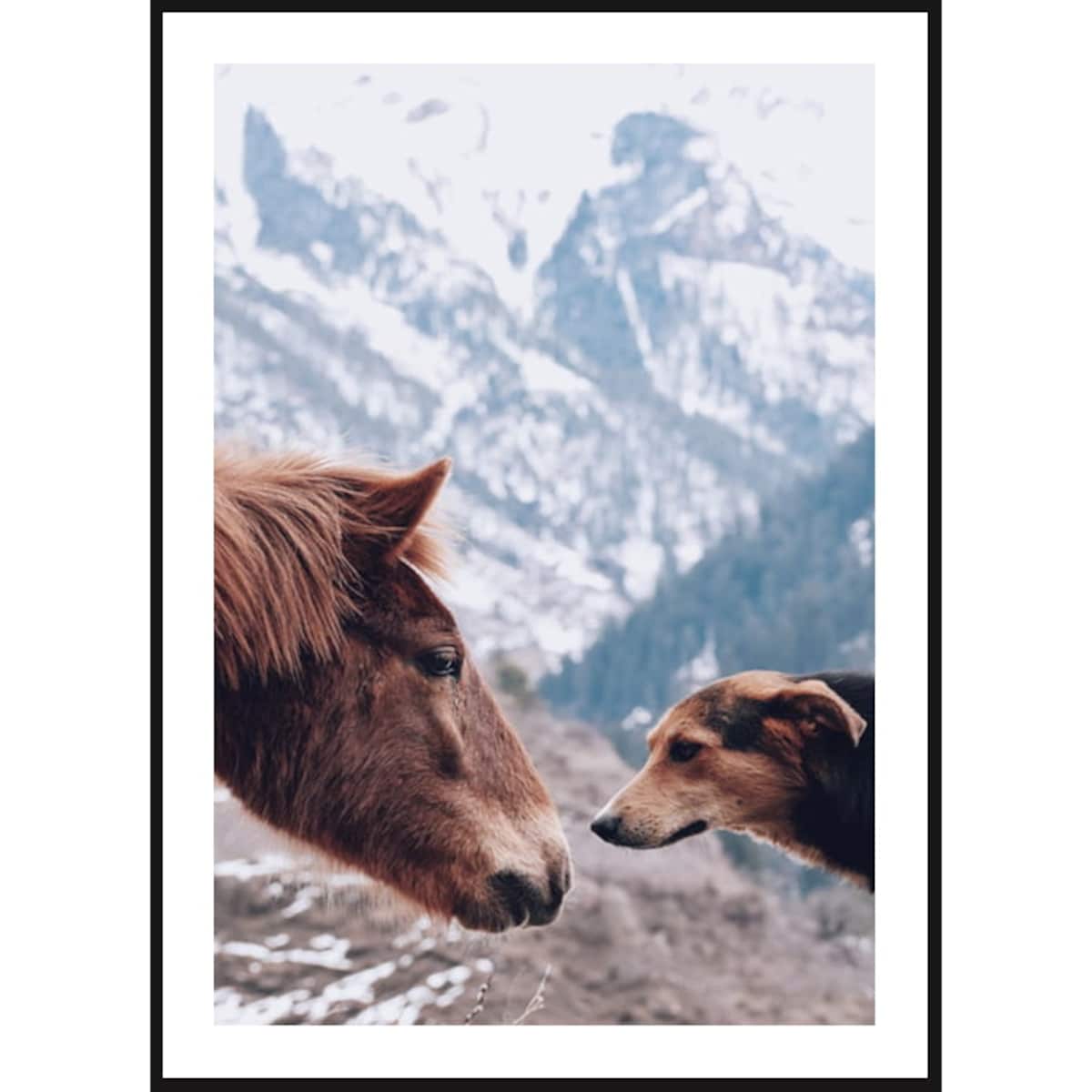 Poster Story, Plakat, Obraz - Koń i Pies w Górach, wymiary 30 x 42 cm