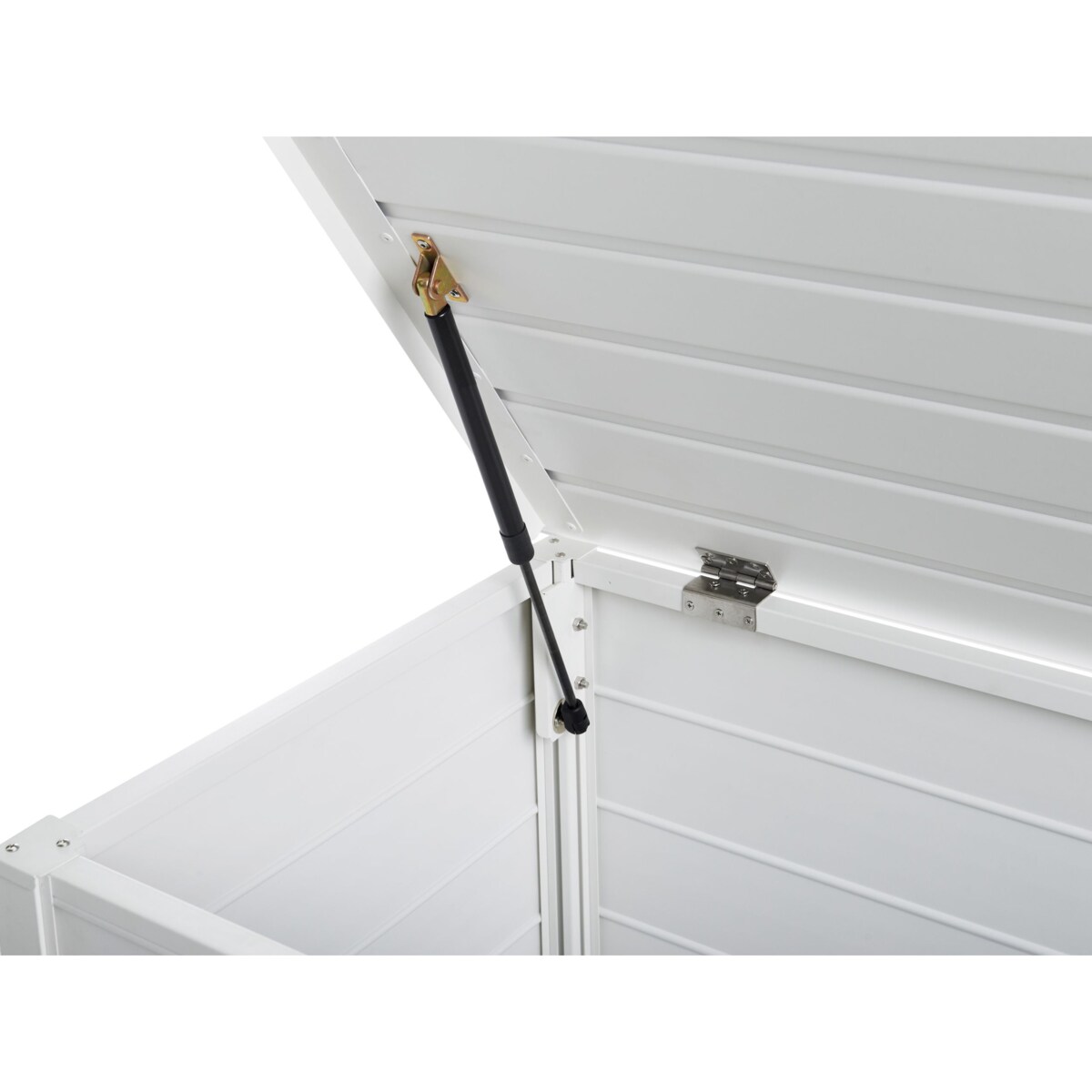 Skrzynia do przechowywania Biały CAMPALTO