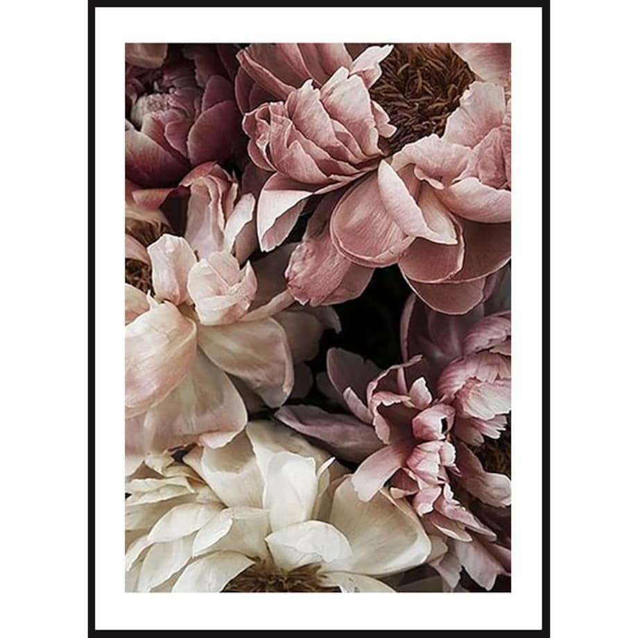 Poster Story, Plakat, Obraz - Piwonie Białe i Pudrowe w Rozkwicie No3, wymiary 60 x 84 cm