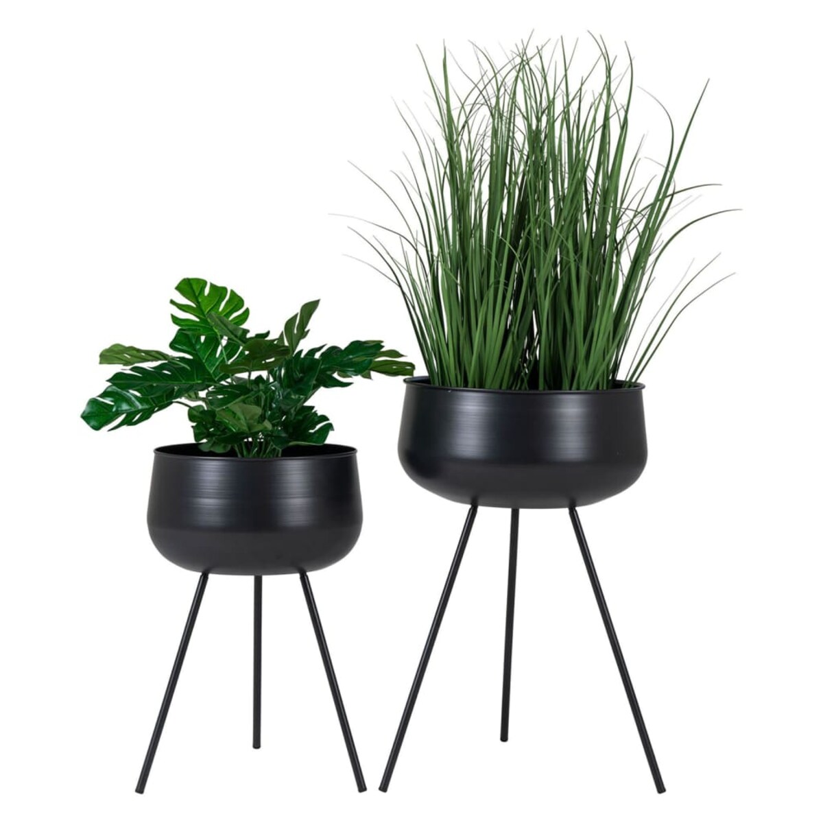 House Nordic Donice Kira, 2 szt., czarne