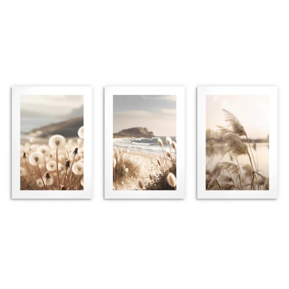 Pastelowe Plakaty ścienne Obrazy na ścianę do Salonu sypialni Trawy Boho