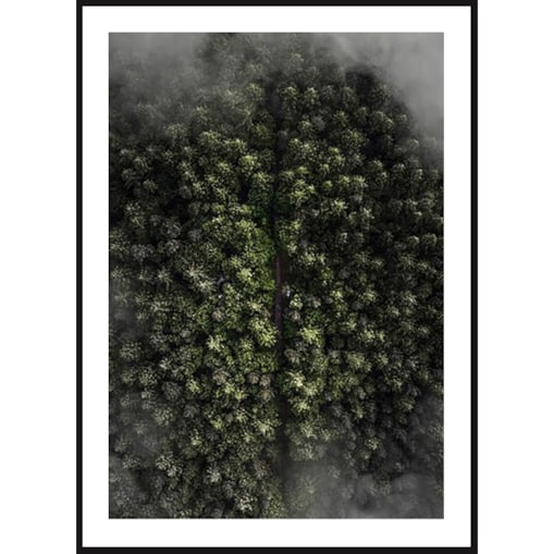 Poster Story, Plakat, Obraz - Ciemny Las, wymiary 30 x 42 cm