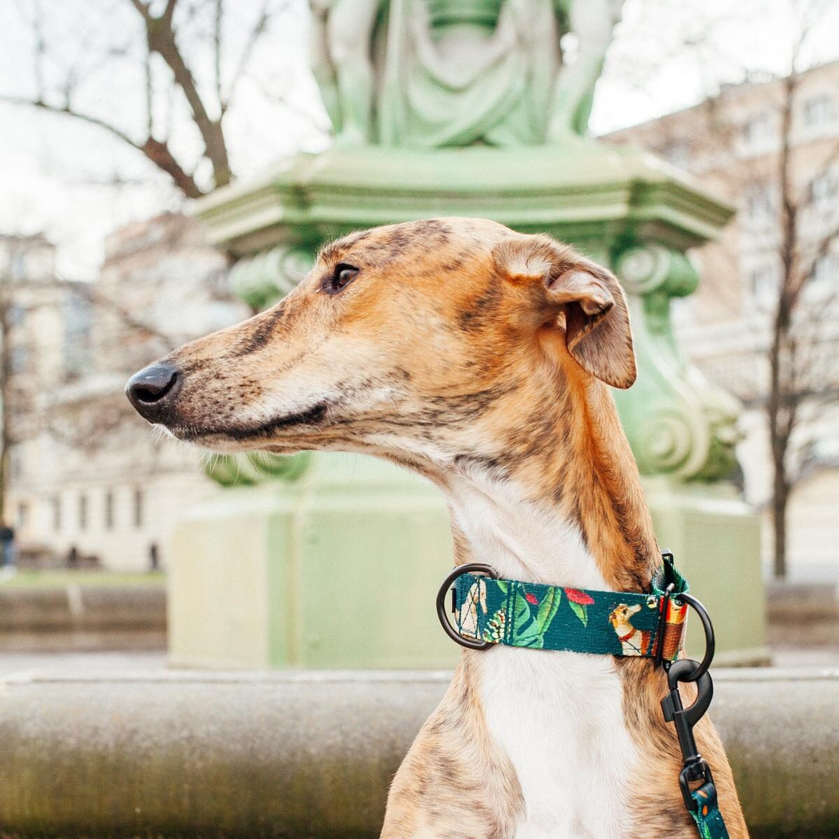 Obroża półzaciskowa dla psa lub kota "Psikolaż" - Szerokość taśmy: 38mm, Rozmiar: XL