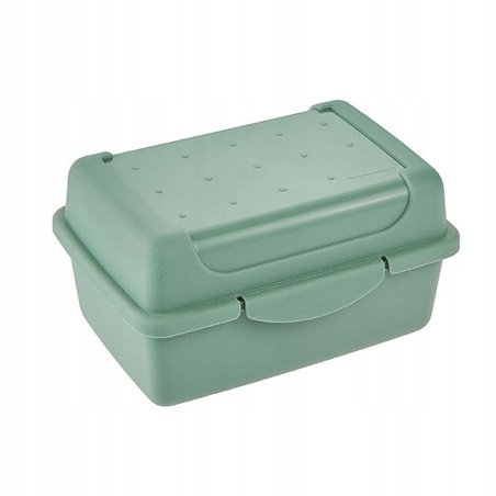 Pojemnik Śniadaniowy na Kanapki Śniadaniówka Lunchbox 11 x 7,5 x 6 Pracy Szkoły