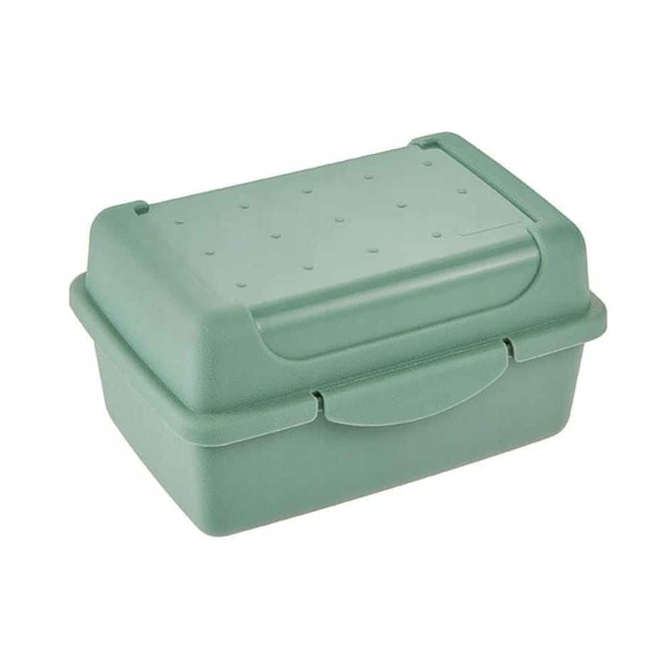 Pojemnik Śniadaniowy na Kanapki Śniadaniówka Lunchbox 11 x 7,5 x 6 Pracy Szkoły